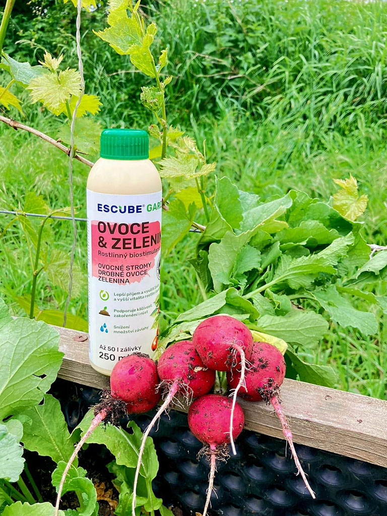 Ředkvičky 2_cz-cs--CZ